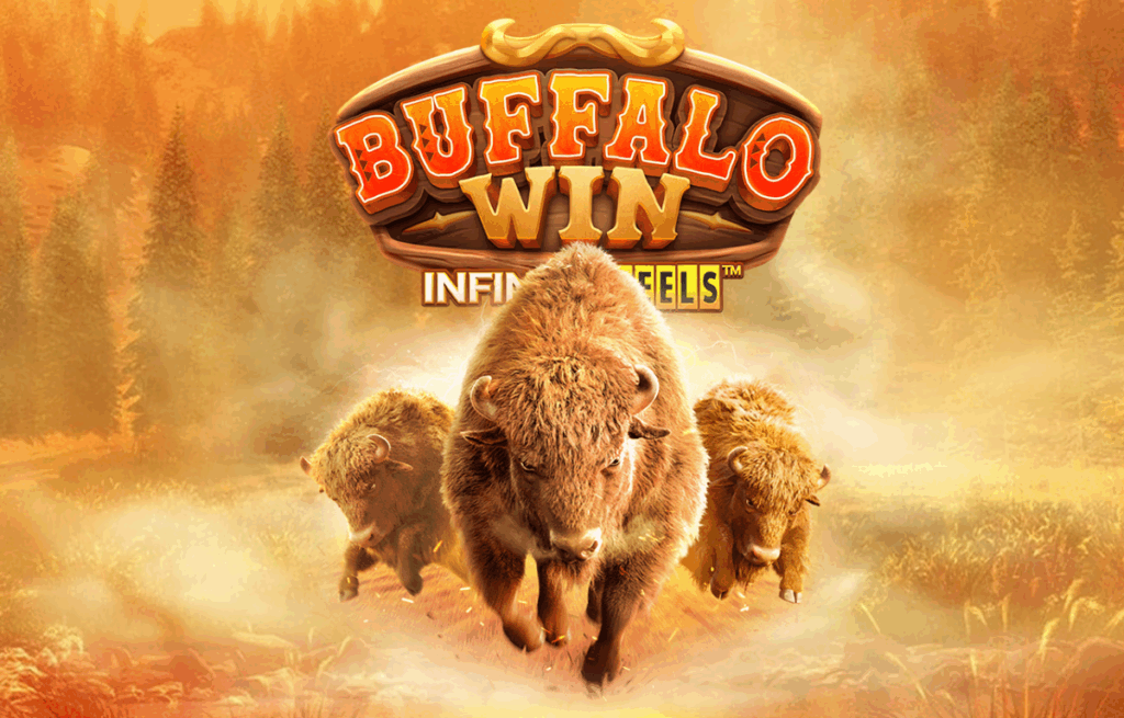 PG Soft Buffalo Win Infinity Reels