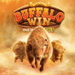 PG Soft Buffalo Win Infinity Reels